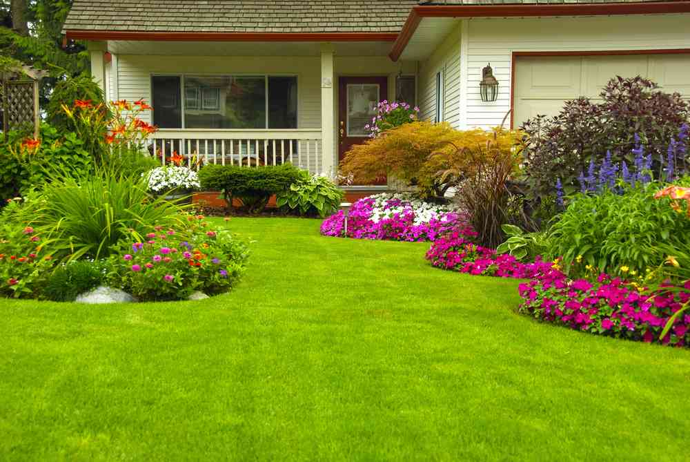 Landscaping Business