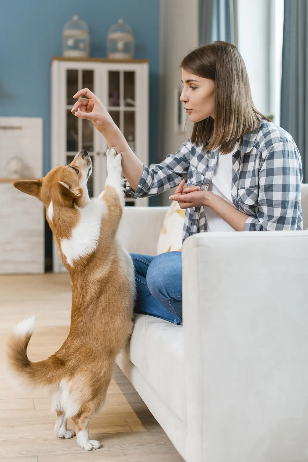 A Dog’s Best Friend: CBD Oil for Dogs